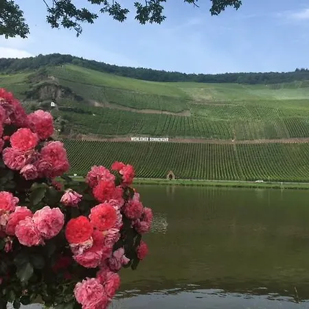 公寓 Ferienwohnung An Der Mosel *